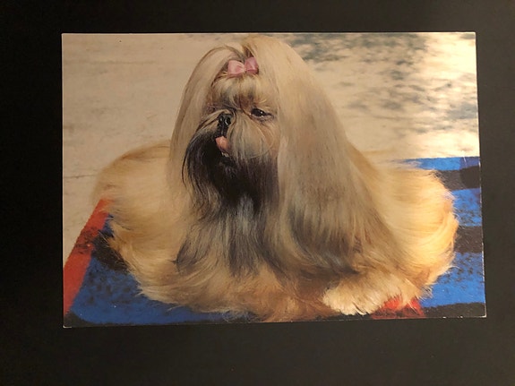 Product image 1 of 2