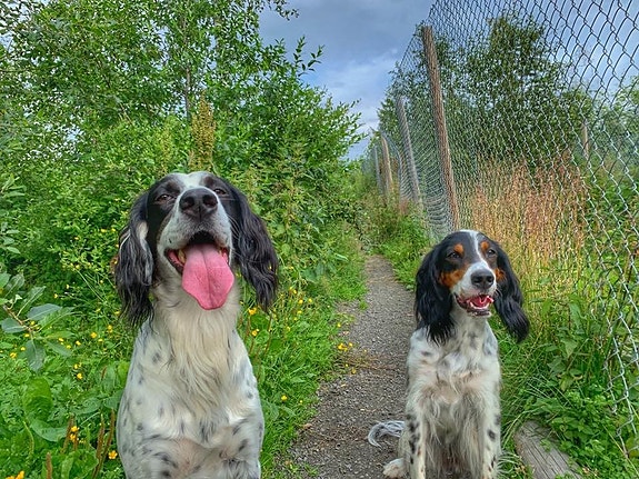 Bilde 1 av 5 i jobbannonse-galleriet