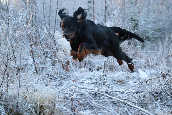 Bilde 5 av 5 i jobbannonse-galleriet
