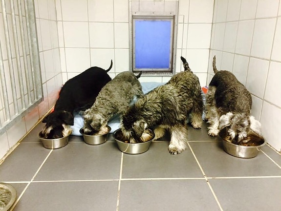 Bilde 2 av 5 i jobbannonse-galleriet