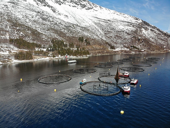 Bilde 6 av 8 i jobbannonse-galleriet