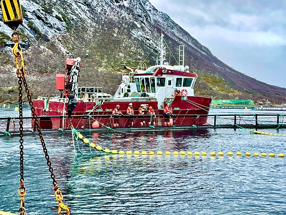 Bilde tatt av Steve Hernes, iLaks