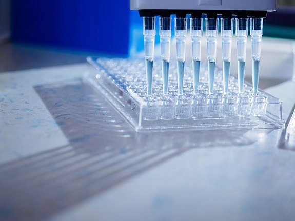 Bilde 2 av 6 i jobbannonse-galleriet