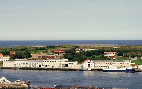 Bilde 2 av 2 i jobbannonse-galleriet