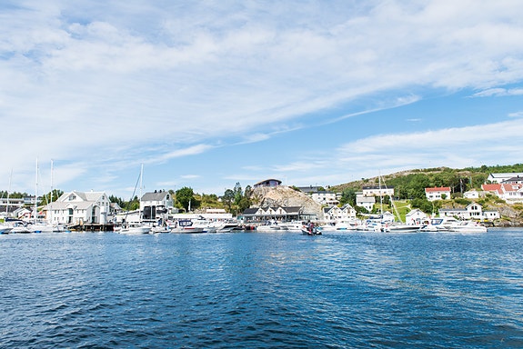 Bilde 1 av 1 i jobbannonse-galleriet