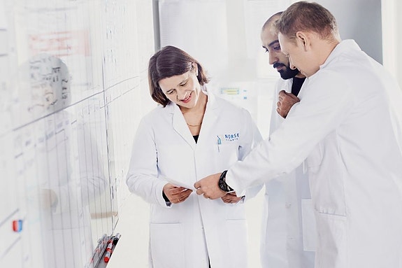 Scientist collaborating