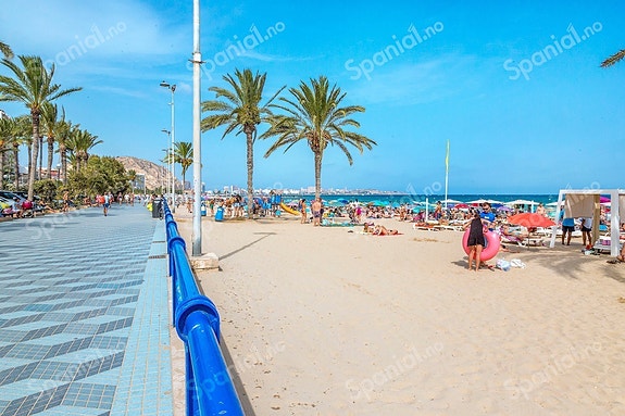 En megler med gode referanser -  SPANIA1.no