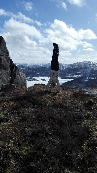 Revafjellet med utsikt over Svortingsvatnet.