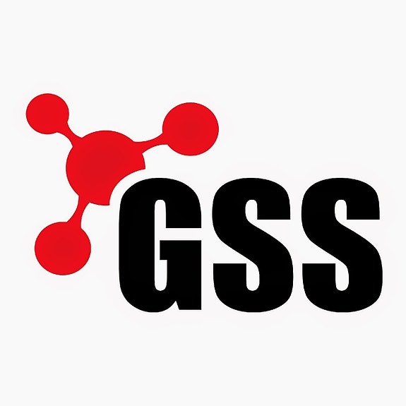 GSS AS logo