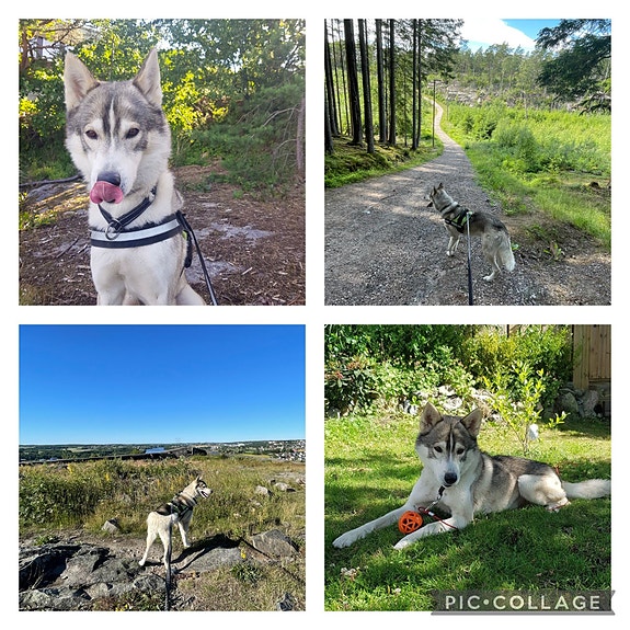 Product image 1 of 10