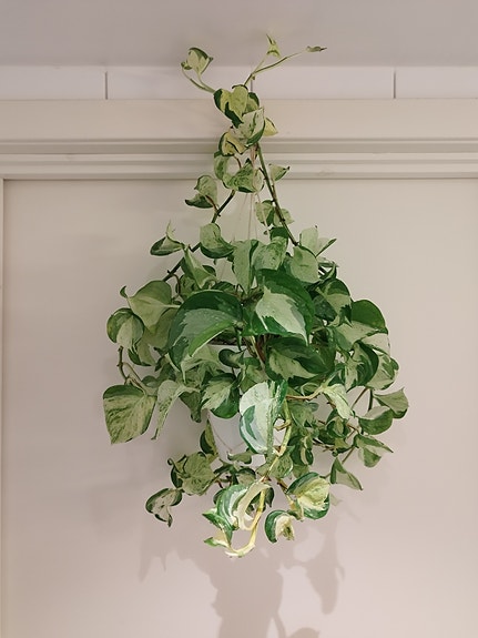 Product image 1 of 10
