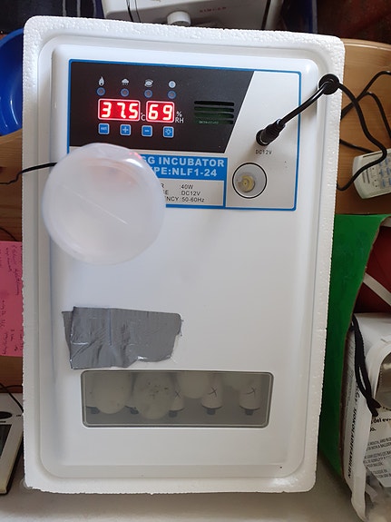 Product image 8 of 8