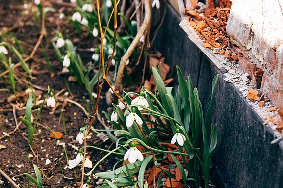 Bilde 2 av 5 i jobbannonse-galleriet