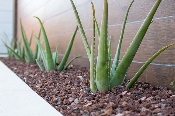 En megler med gode referanser - SPANIA1.no