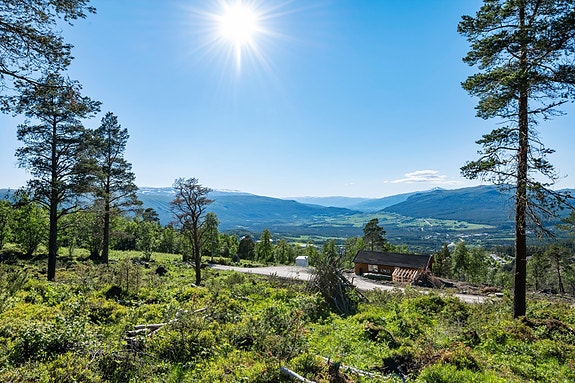 Utrolig flott utsikt.