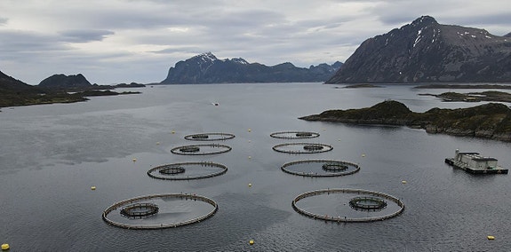 Bilde 1 av 16 i jobbannonse-galleriet