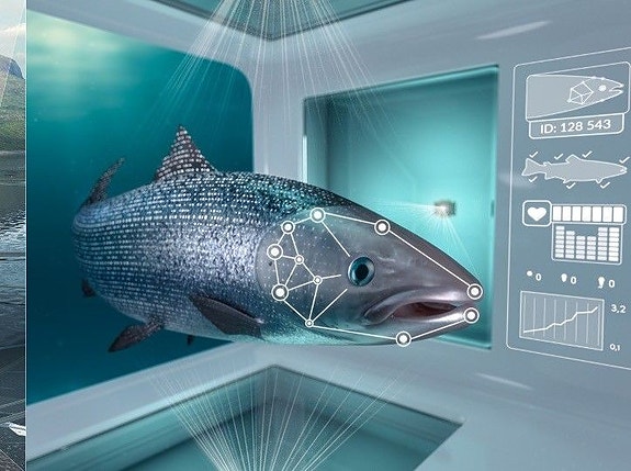 Bilde 4 av 16 i jobbannonse-galleriet