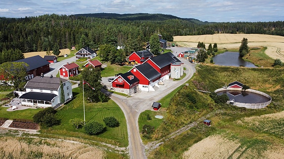 Bilde 1 av 7 i jobbannonse-galleriet