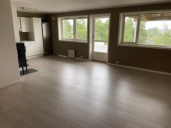 Stort oppholdsrom - stue/kjøkken