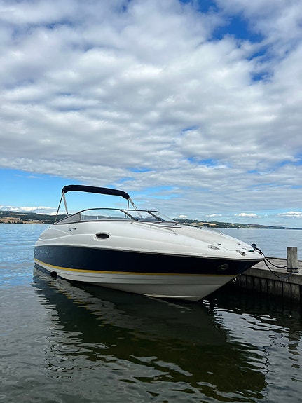 Regal 2450 LSR, ny motor 2024 2 of 5