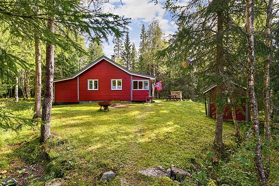 Velkommen til en koselig hytte på skjermet tun på Lygna!