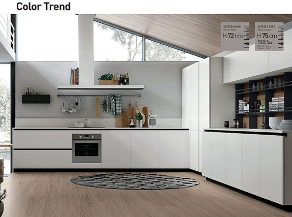 COLOR TREND