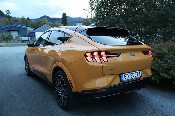 Ford Mustang Mach-E 3 of 12
