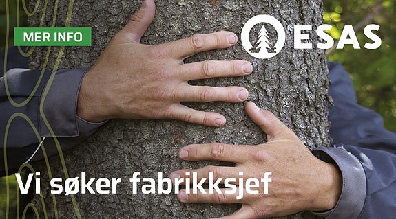 Bilde 1 av 5 i jobbannonse-galleriet