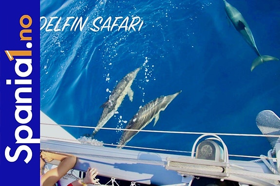 Gode referanser - SPANIA1.no