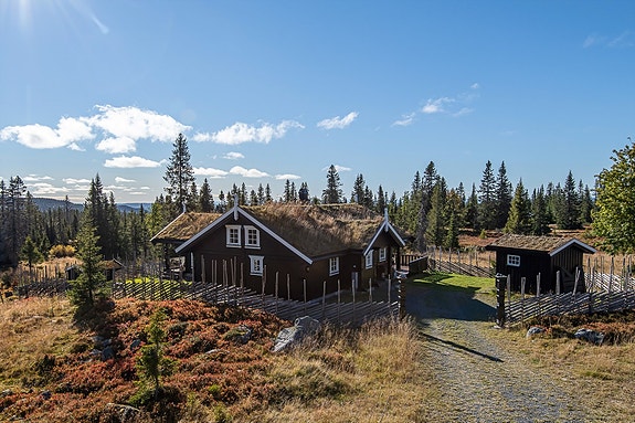 Sjusjøen er et flott helårsområde. Like fint til alle årstider, men kanskje ekstra fint om høsten og vinteren.