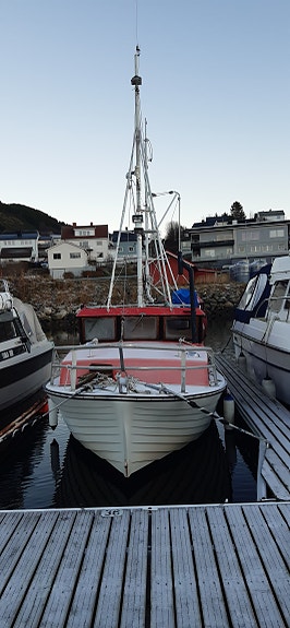 Fin-fin båt for fiske og fritid 3 of 5