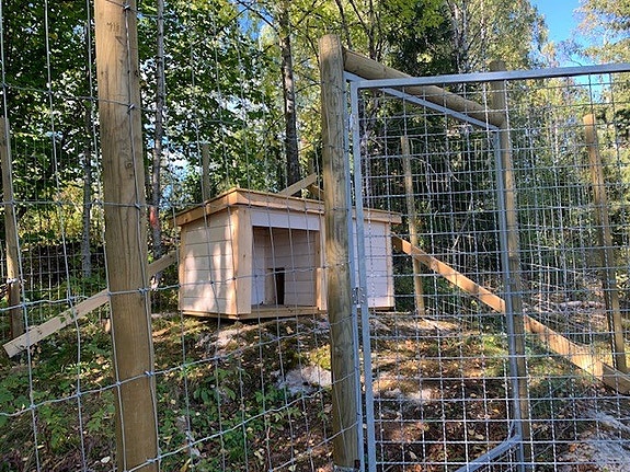 Vi tilbyr "hund i skole" som tiltak for våre elever