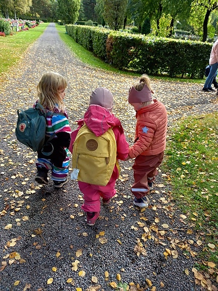 Bilde 2 av 5 i jobbannonse-galleriet