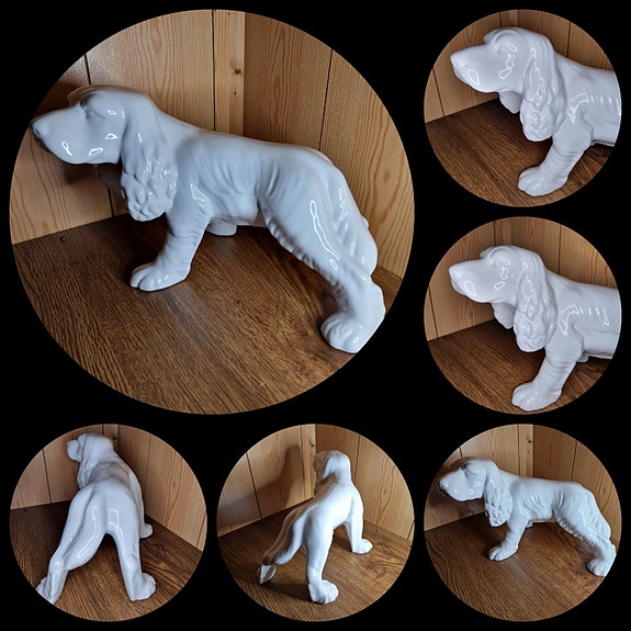 Product image 1 of 10