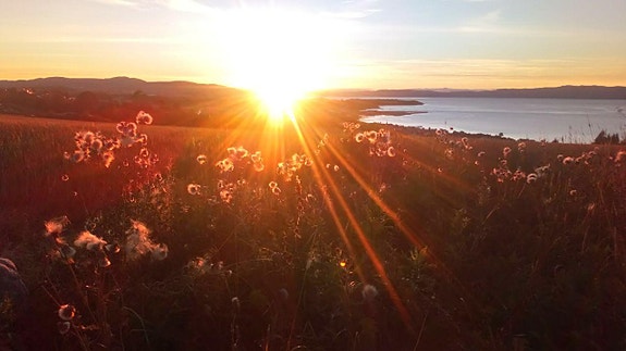 Bilde 5 av 7 i jobbannonse-galleriet