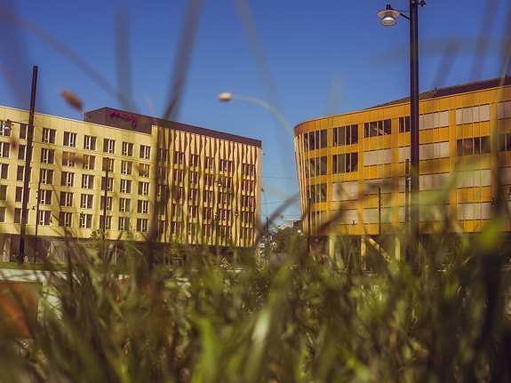 Bilde 2 av 5 i jobbannonse-galleriet