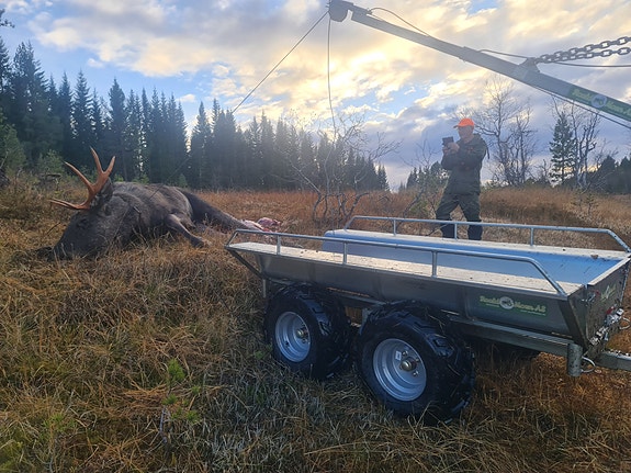 Product image 8 of 10