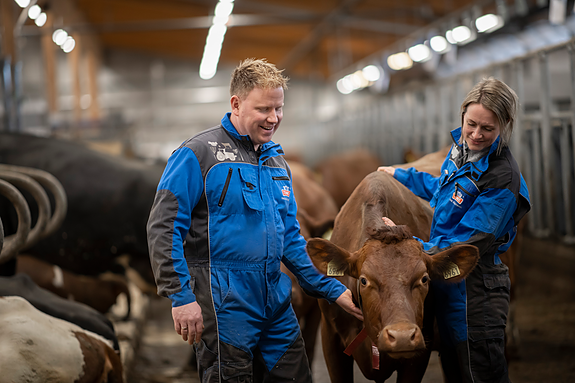 Bedriftens profilbilde