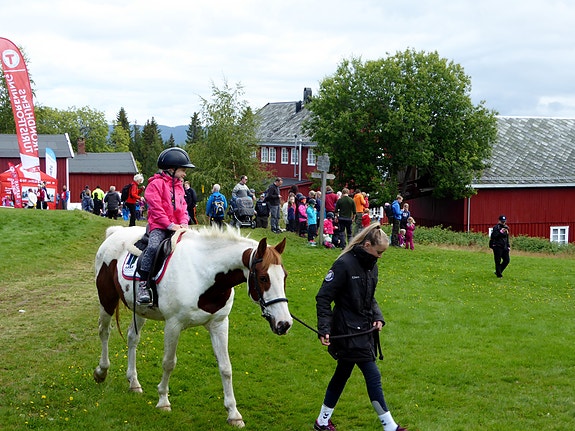 Arrangement for familier