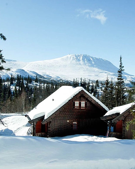 Bilde 1 av 8 i jobbannonse-galleriet