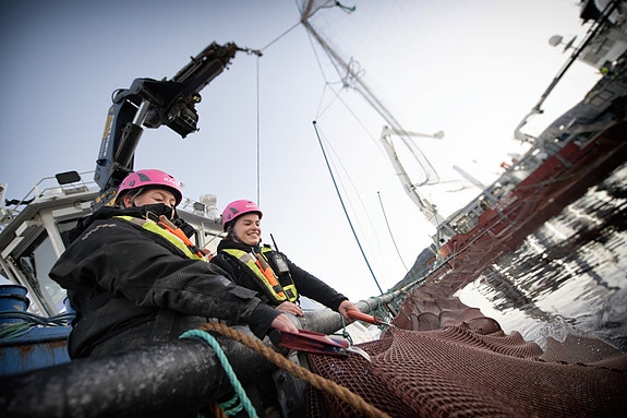 Bilde 2 av 6 i jobbannonse-galleriet