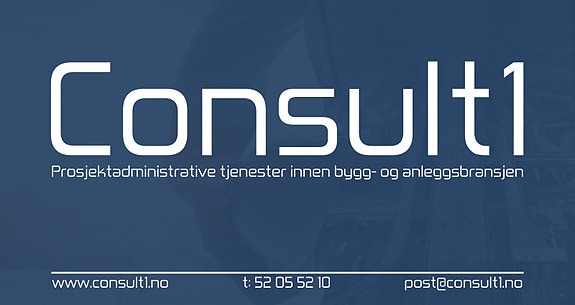 CONSULT1 AS logo