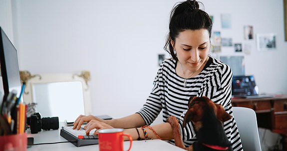 Bilde 1 av 2 i jobbannonse-galleriet