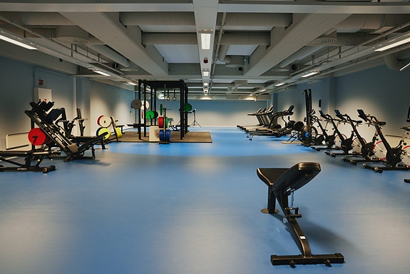 Bilde 8 av 11 i jobbannonse-galleriet