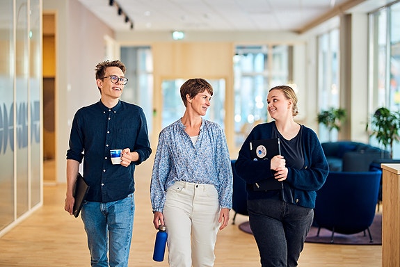 Bilde 1 av 11 i jobbannonse-galleriet