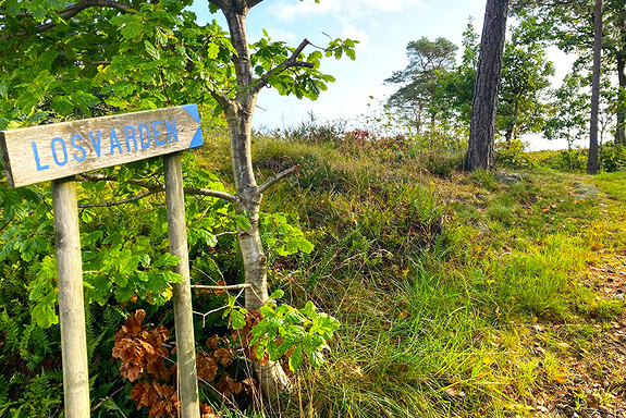 Losvarden, kun 150 meter fra tomten