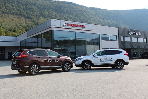 Bilde 1 av 1 i jobbannonse-galleriet