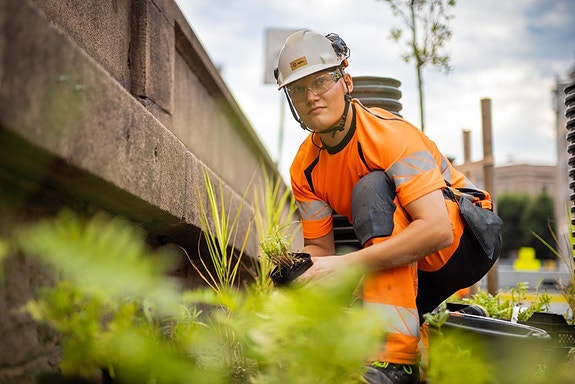 Bilde 2 av 3 i jobbannonse-galleriet