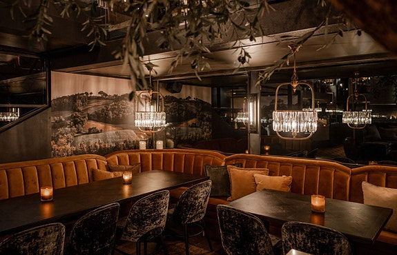 Olivia Hegdehaugsveien logo