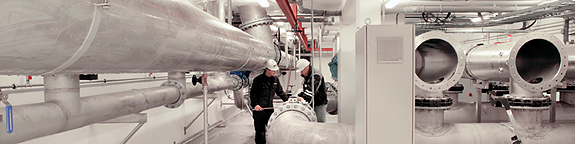 Bilde 3 av 3 i jobbannonse-galleriet